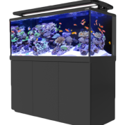 Reef Aquarims: What Size Tank Is Best For You?