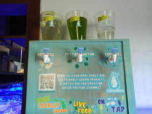 Live Food at Blue Earth Aquariums!