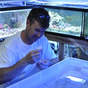 What is Good Water Quality for Reefkeeping