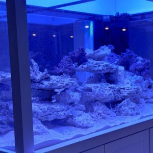 A Smarter Approach to Live Rock.