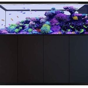 Red Sea Aquariums in West Palm Beach