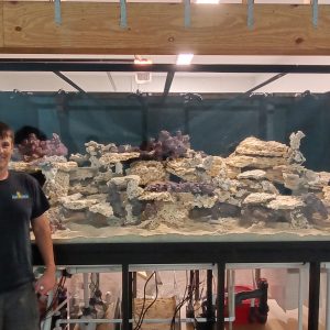 Custom Aquariums for Sale in Palm Beach