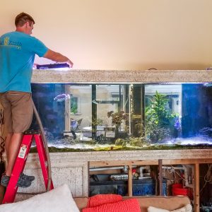 Aquarium Service West Palm Beach