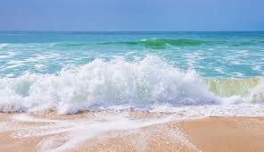 Natural vs. Artificial sea water