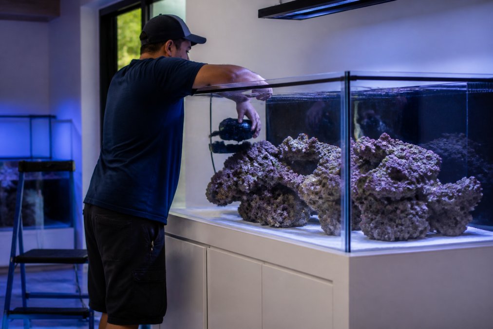 Professional Reef Tank Installation Cost: 2026 Guide