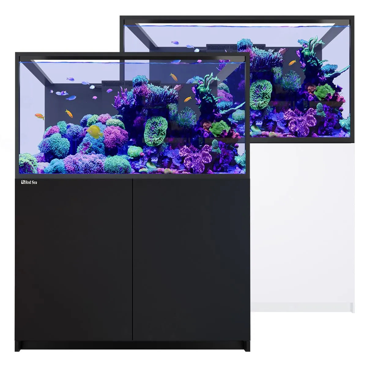 Red Sea REEFER S-550 G3 Aquarium System (118 Gallons)