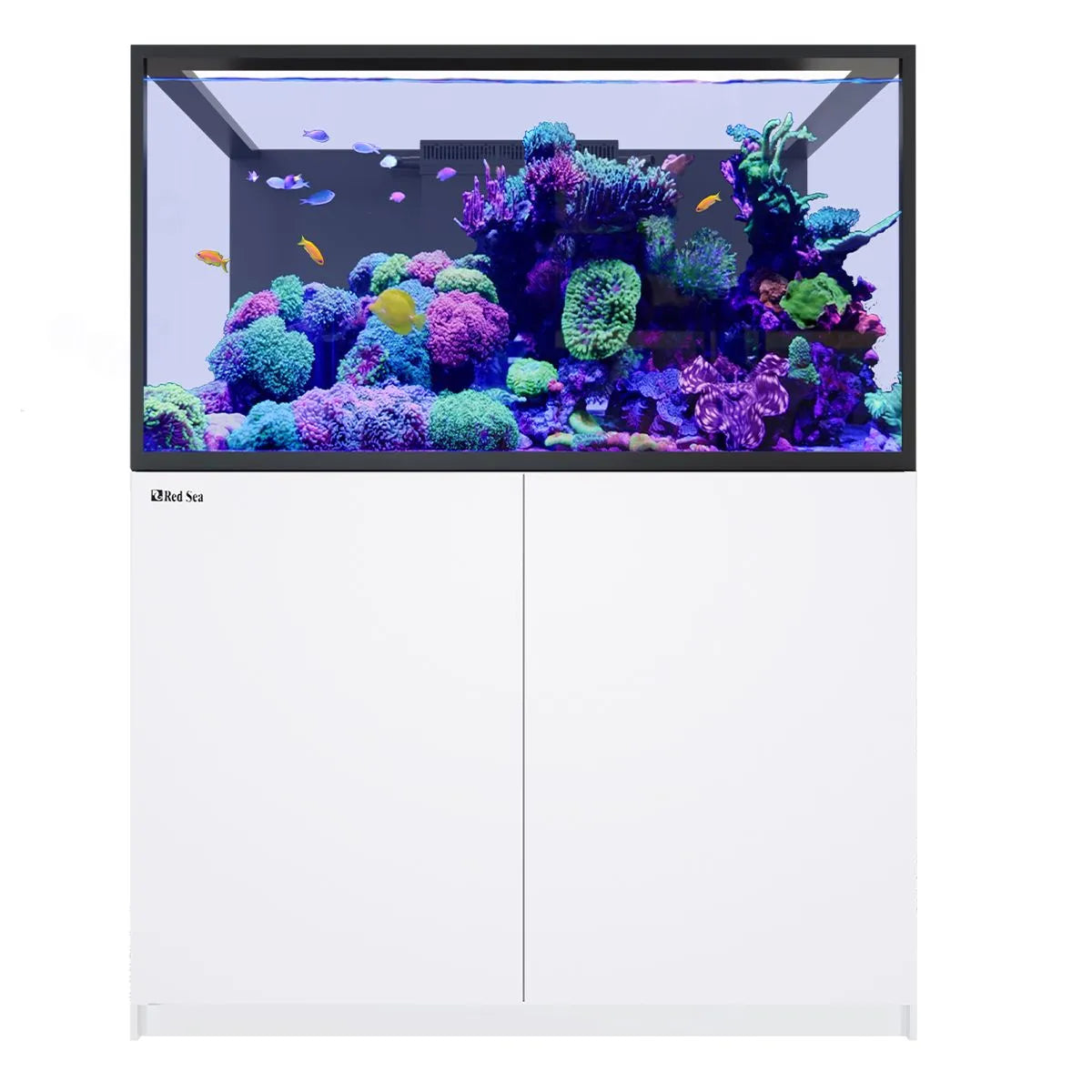 Red Sea REEFER S-550 G3 Aquarium System (118 Gallons)