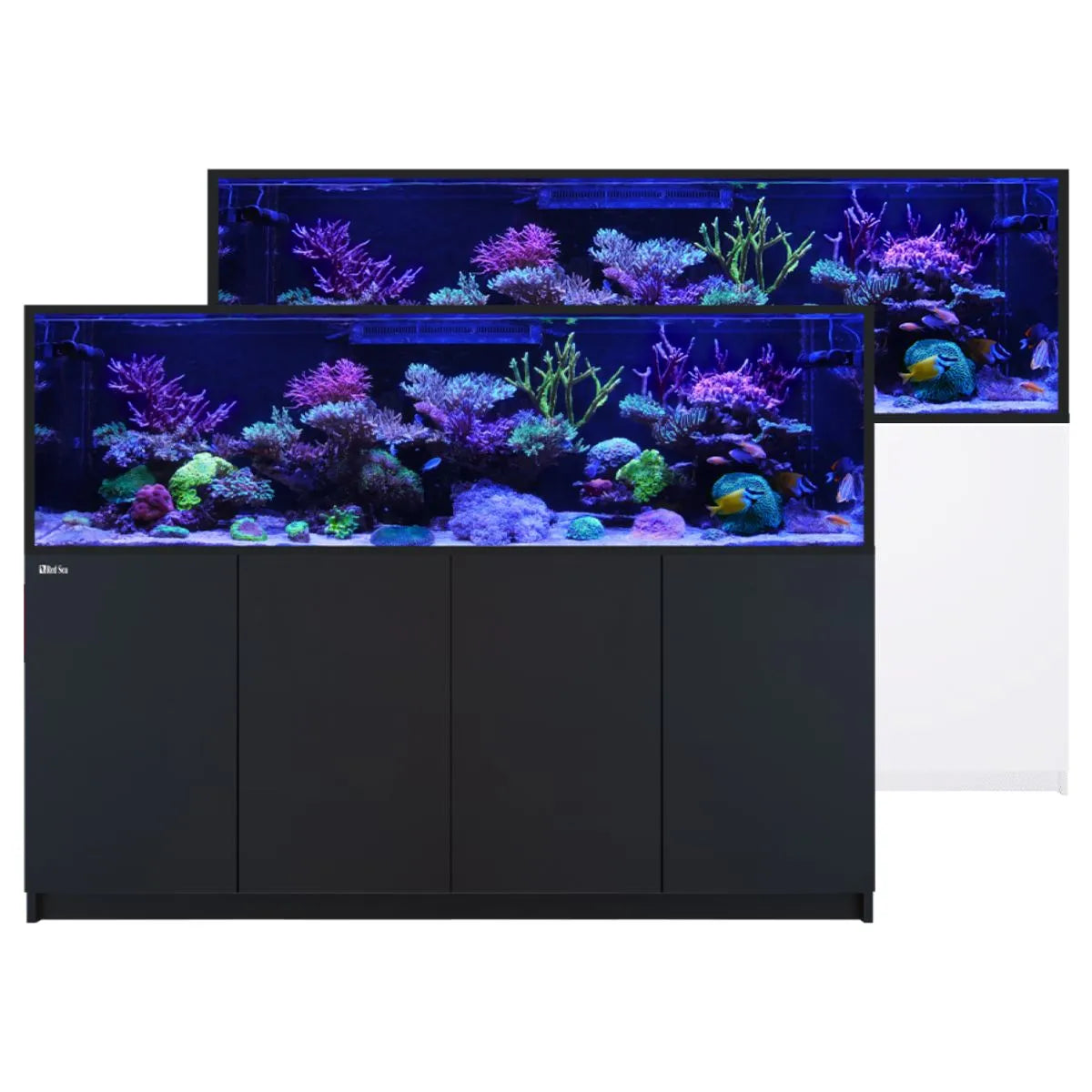 Red Sea REEFER S-1000 G3 Aquarium System (210 Gallons)