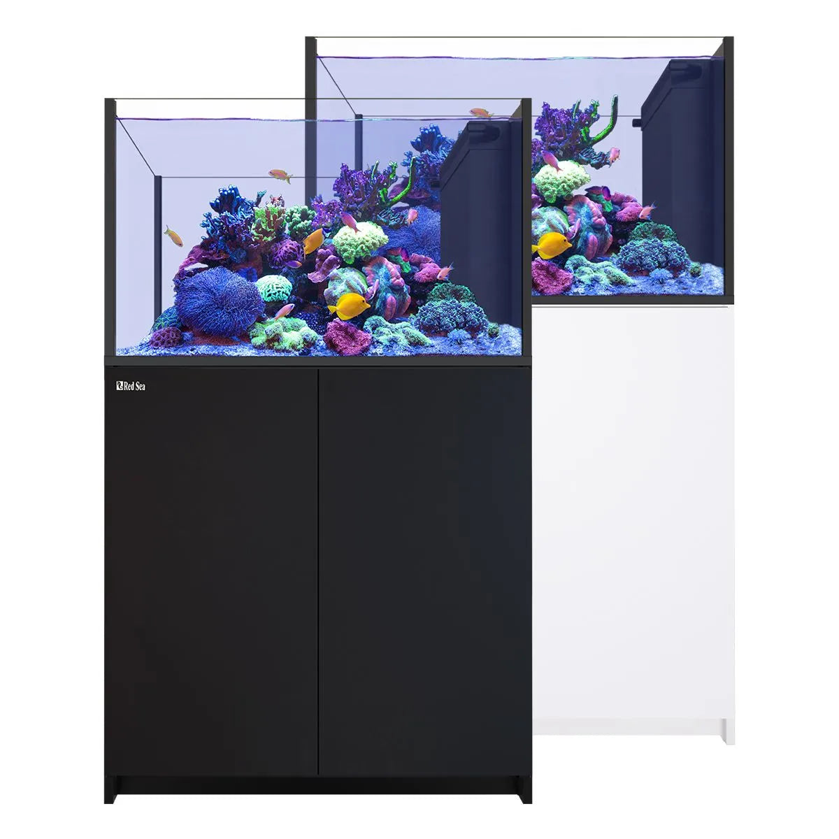 Red Sea REEFER Peninsula 350 G3 Aquarium System (73 Gallons)