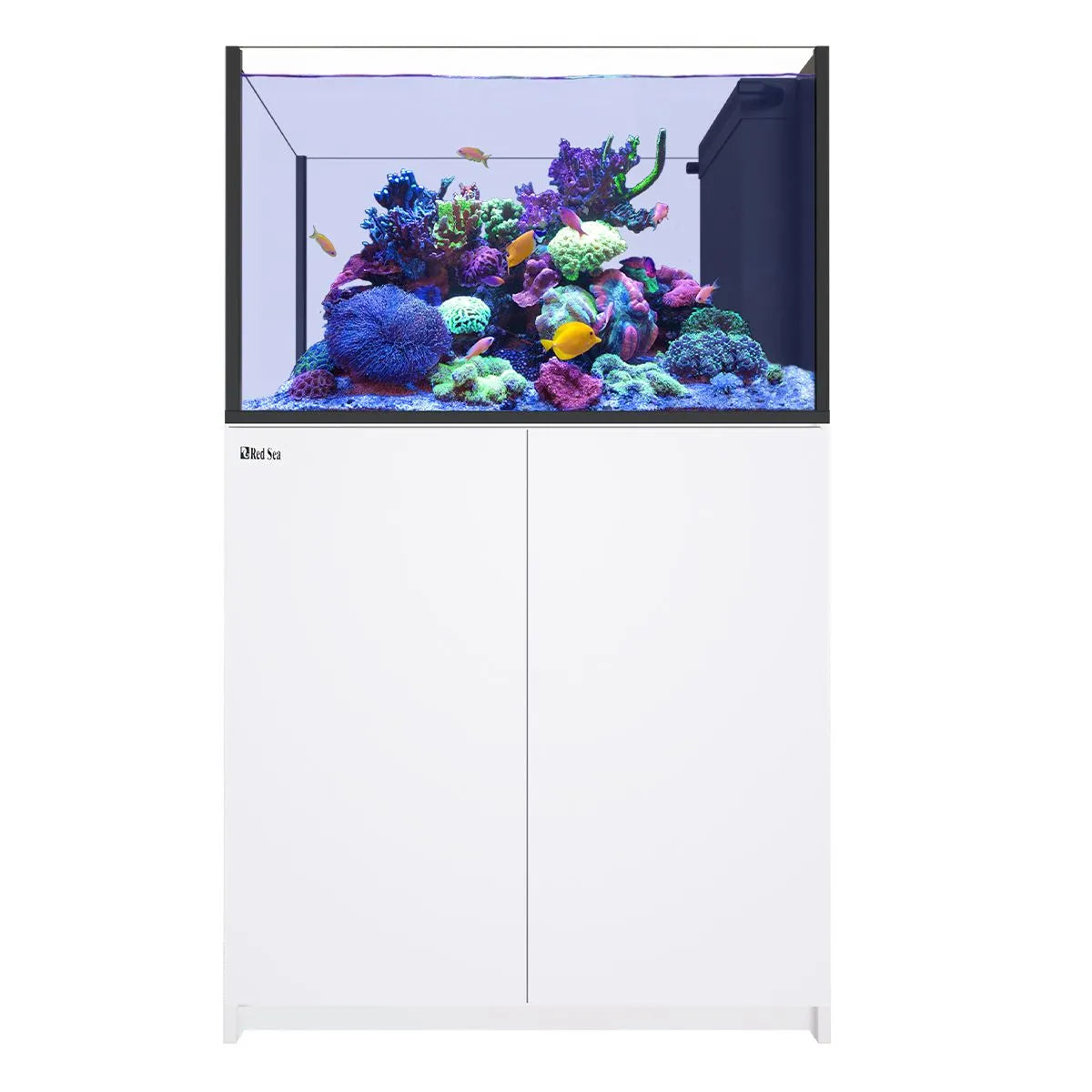 Red Sea REEFER Peninsula 350 G3 Aquarium System (73 Gallons)