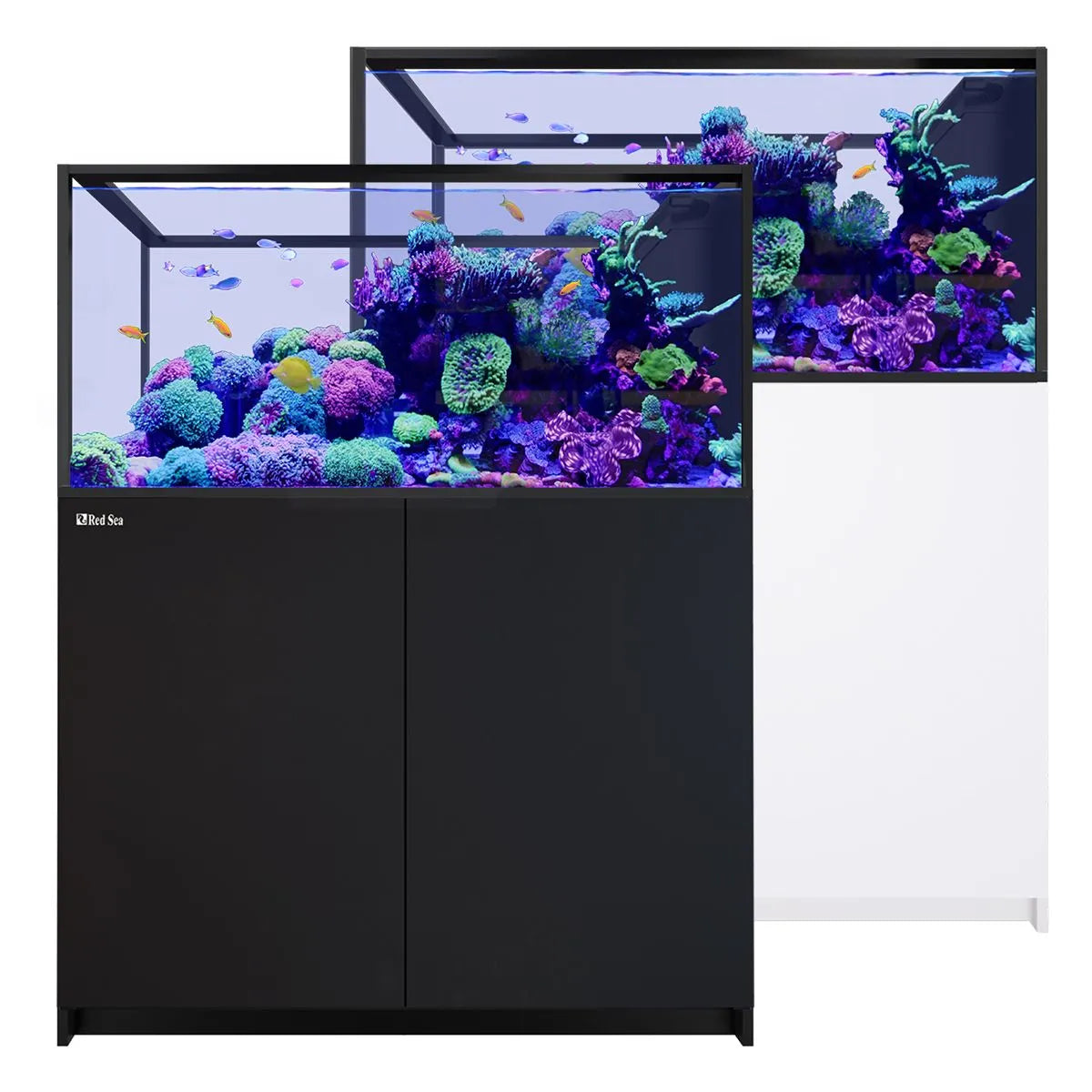 Red Sea REEFER Peninsula 500 G3 Aquarium System (109 Gallons)