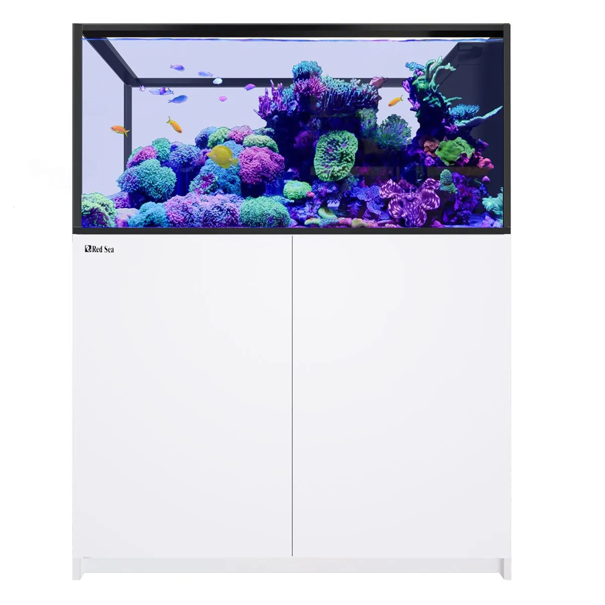 Red Sea REEFER Peninsula 500 G3 Aquarium System (109 Gallons)