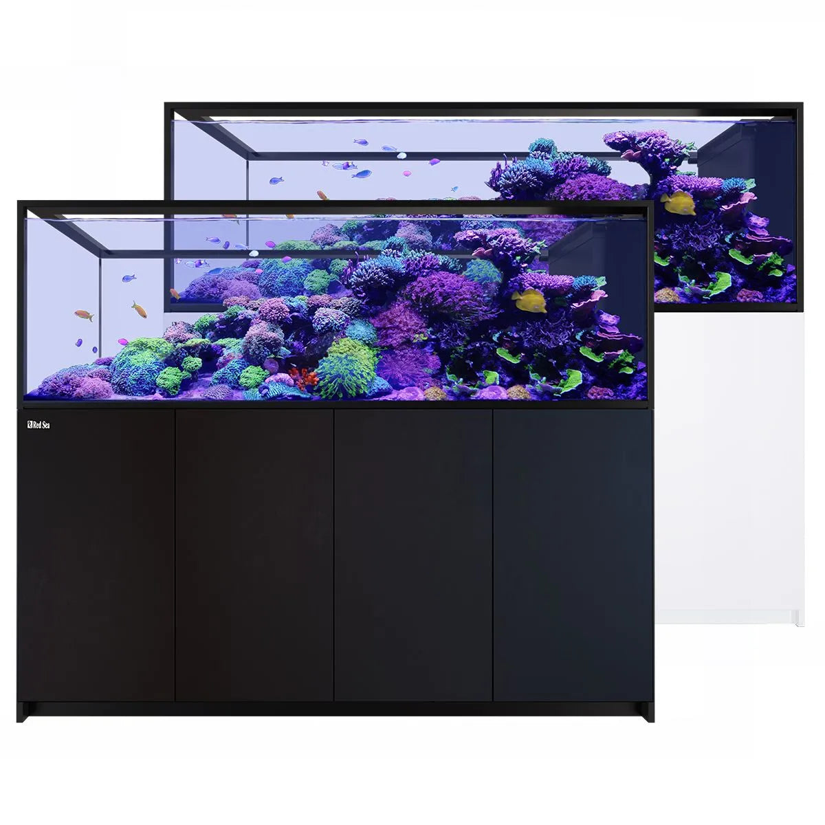 Red Sea REEFER Peninsula S-950 G3 Aquarium System (200 Gallons)
