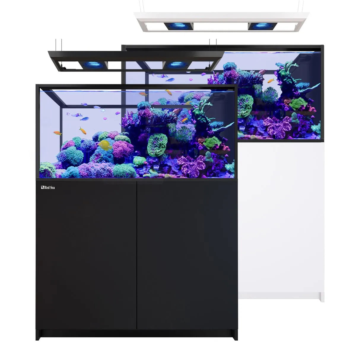 Red Sea REEFER Deluxe Peninsula 500 G3 Aquarium System (109 Gallons) (Includes 2 x ReefLED 170)