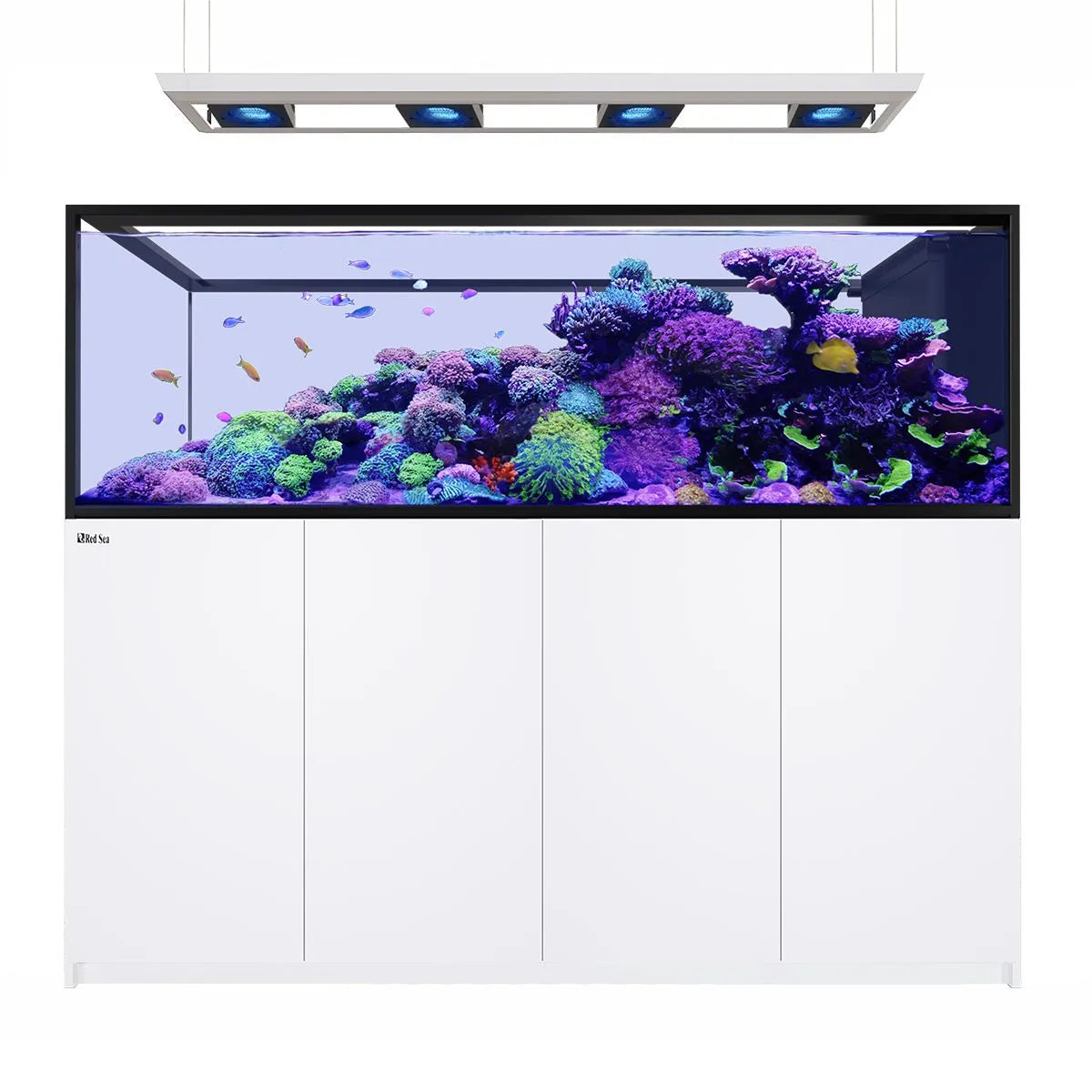 Red Sea REEFER Deluxe Peninsula S-950 G3 Aquarium System (200 Gallons) (Includes 4 x ReefLED 170)