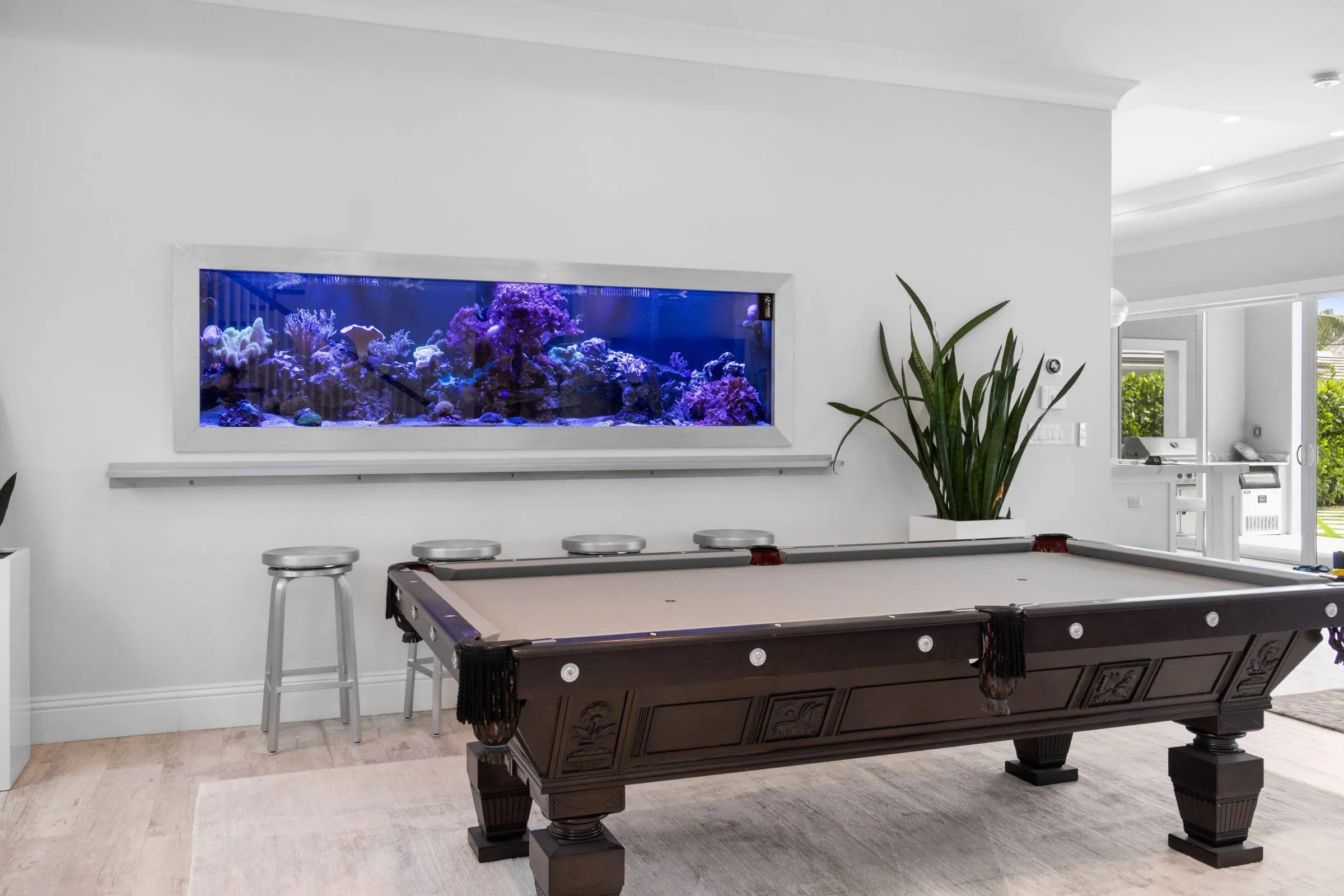 425 Gallon Modern Entertainment Coral Reef