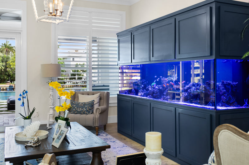 600 Gallon Coastal Living Room