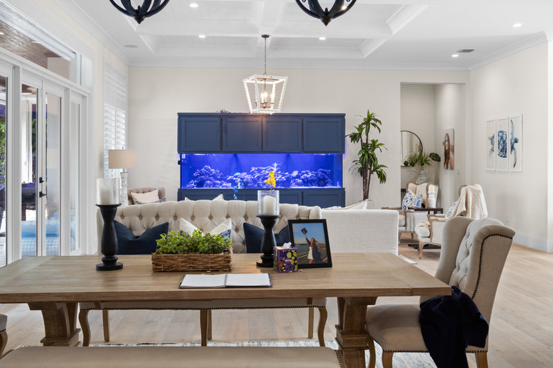 600 Gallon Coastal Living Room