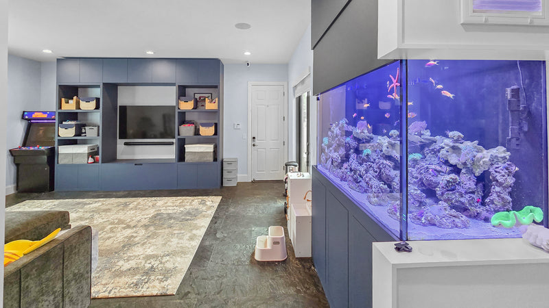 350 Gallon Custom Canopy