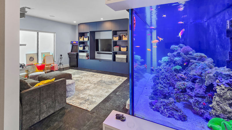 350 Gallon Custom Canopy