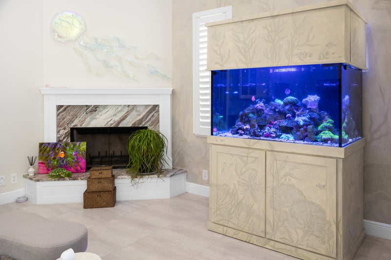 175 Gallon Custom Canopy Living Reef