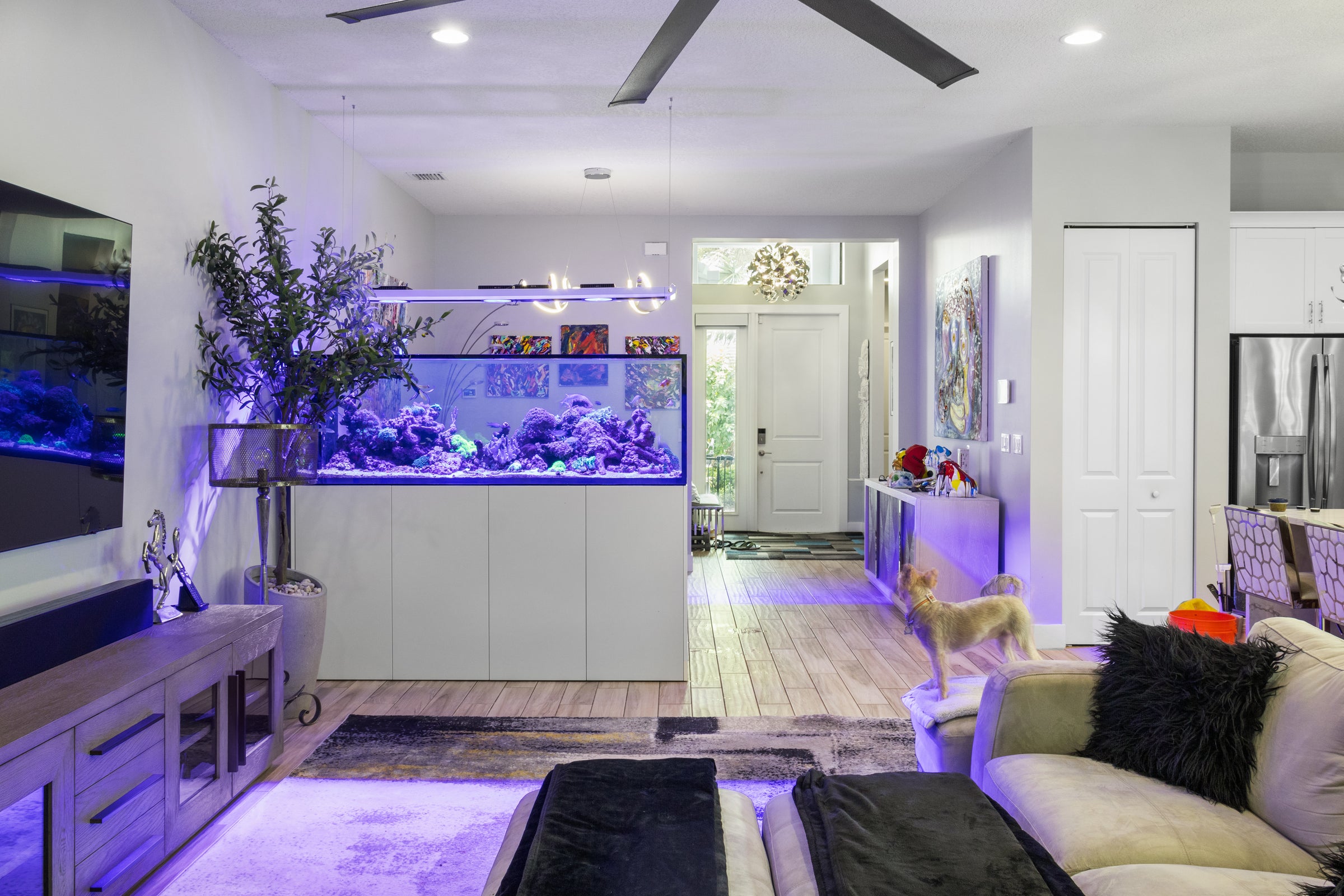 200 Gallon Red Sea Peninsula 950 Room Divider