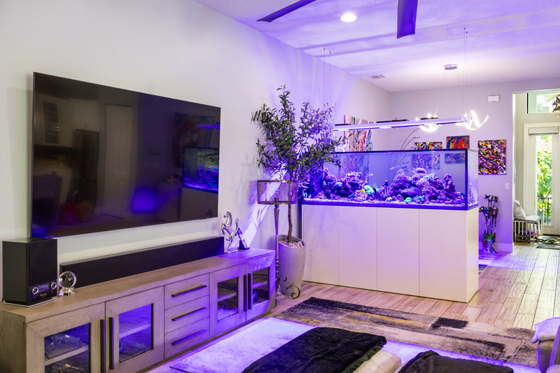 200 Gallon Red Sea Peninsula 950 Room Divider