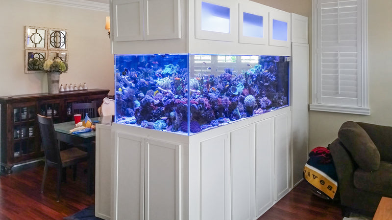 500 Gallon Custom Peninsula