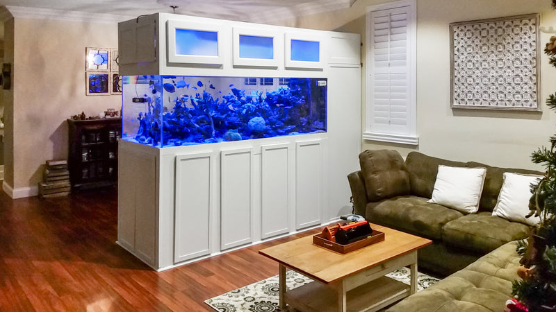 500 Gallon Custom Peninsula