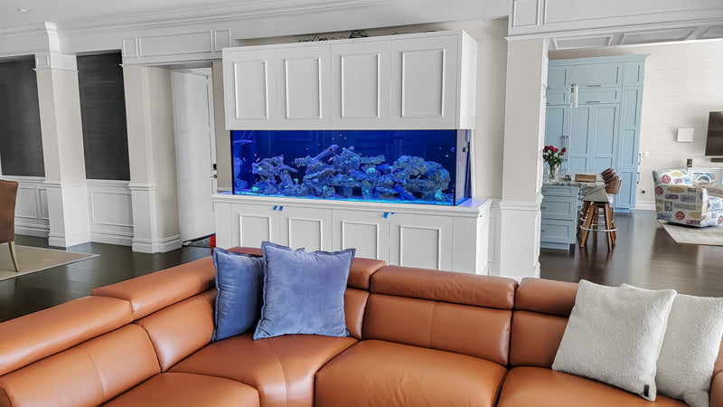 425 Gallon Living Coral Reef