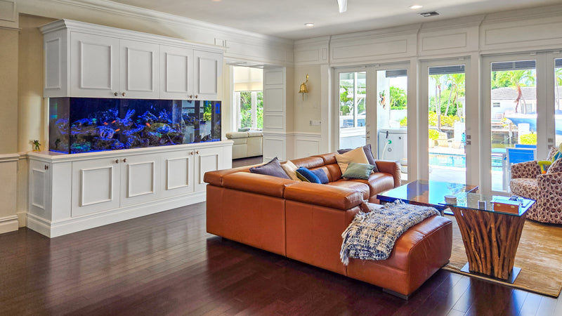 425 Gallon Living Coral Reef