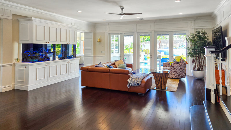 425 Gallon Living Coral Reef