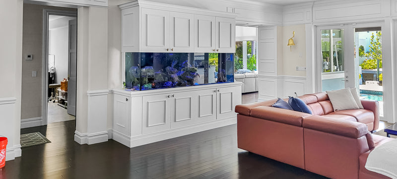 425 Gallon Living Coral Reef