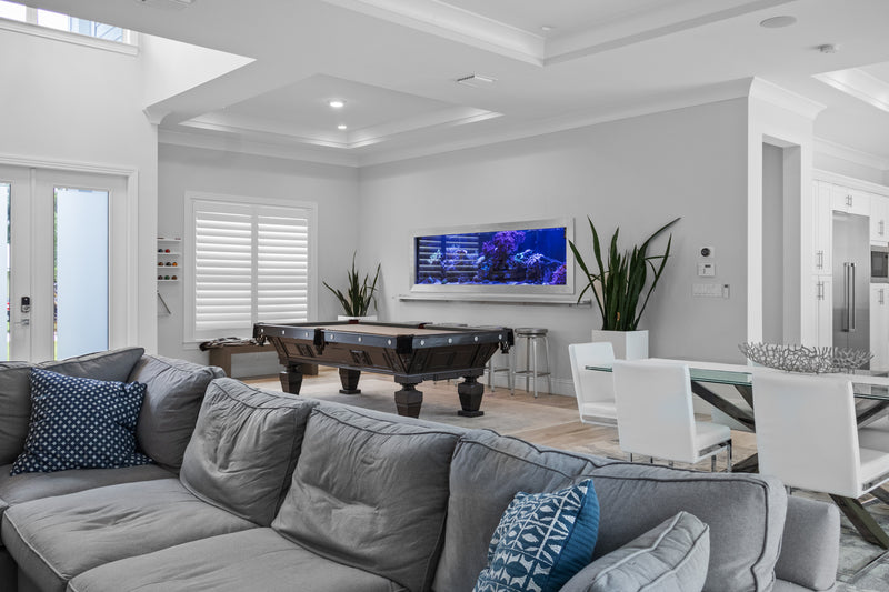 425 Gallon Modern Entertainment Coral Reef