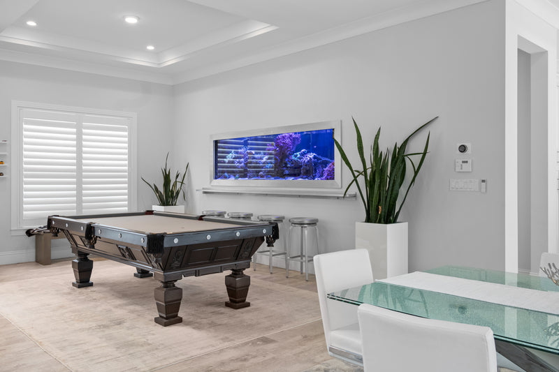 425 Gallon Modern Entertainment Coral Reef