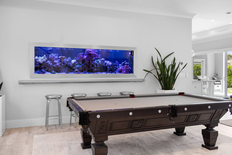 425 Gallon Modern Entertainment Coral Reef