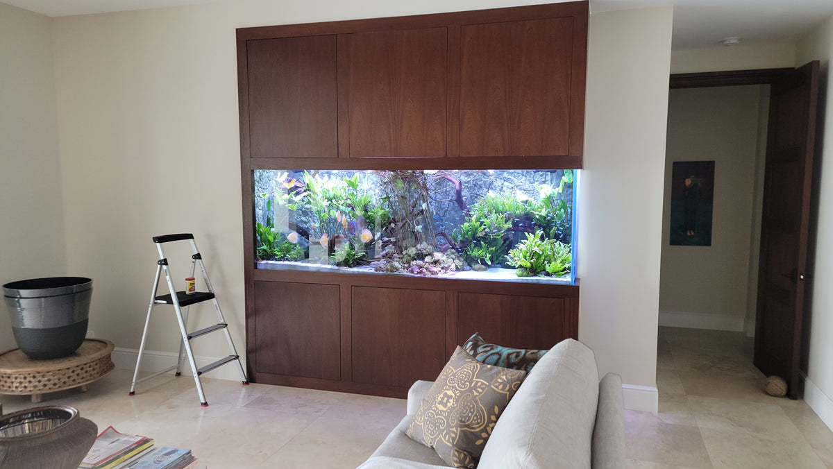 220 Gallon Freshwater Living Room Feature
