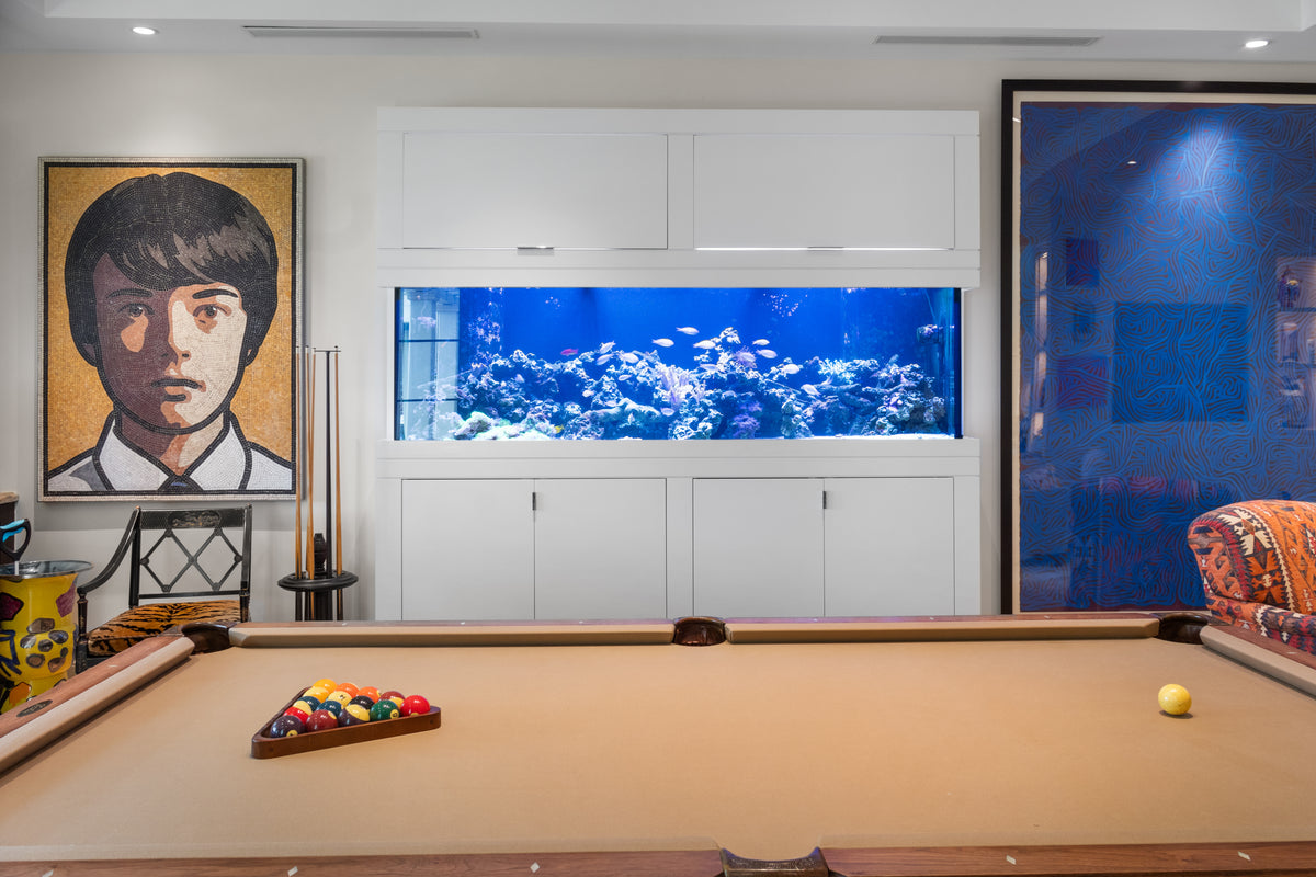 400 Gallon In-Wall Reef