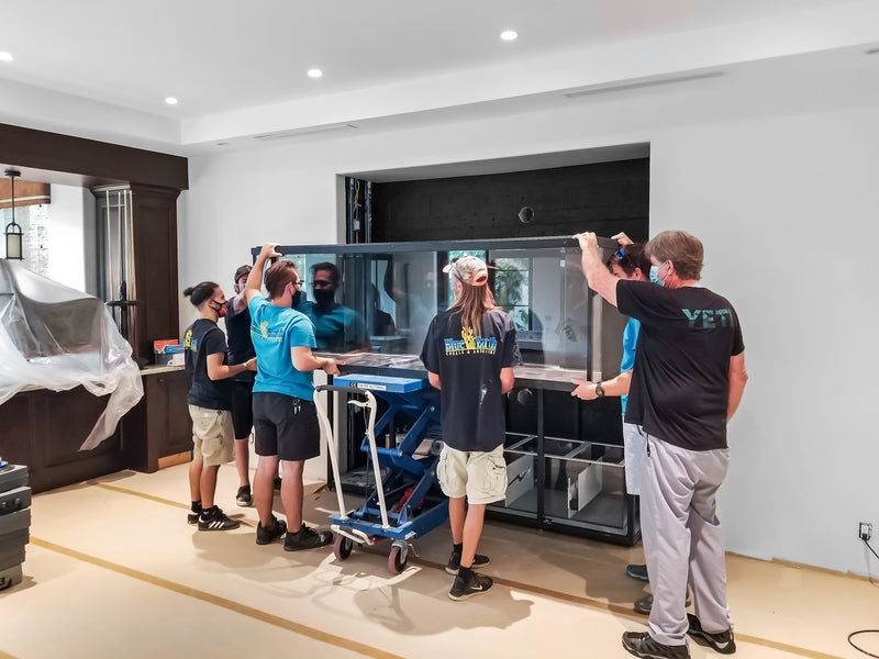 400 Gallon In-Wall Reef