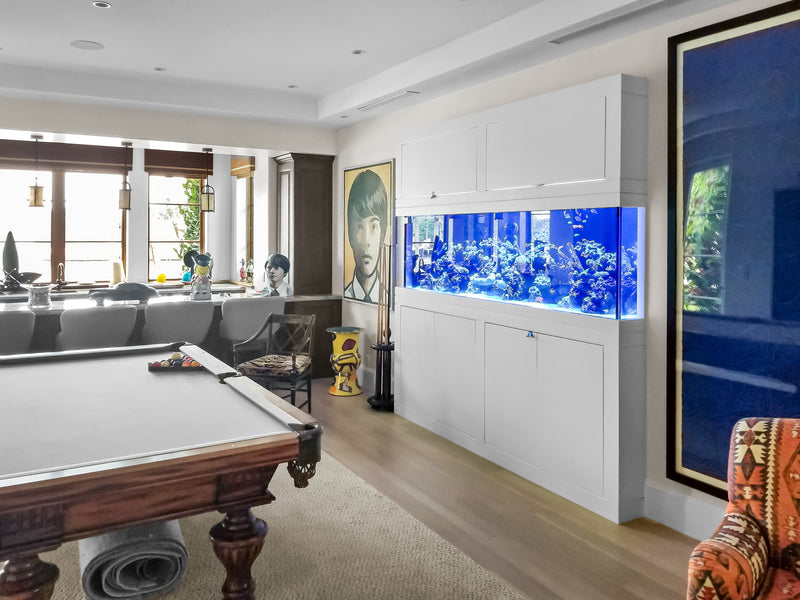 400 Gallon In-Wall Reef