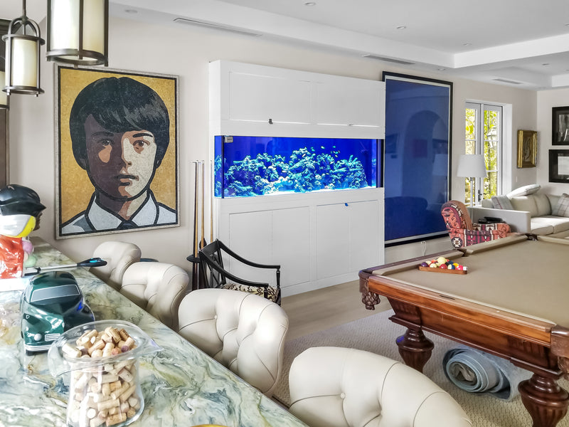 400 Gallon In-Wall Reef