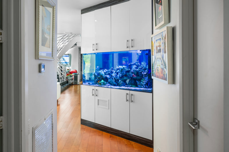 320 Gallon Three-Sided Reef Aquarium