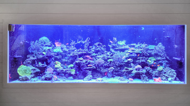 2000 Gallon Artistic Reef Aquarium