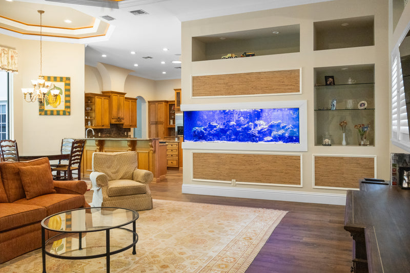 475 Gallon Living Coral Reef