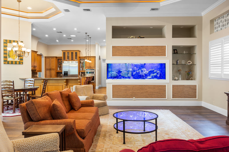 475 Gallon Living Coral Reef