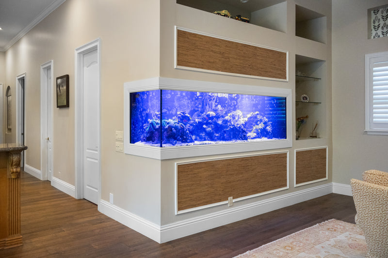 475 Gallon Living Coral Reef