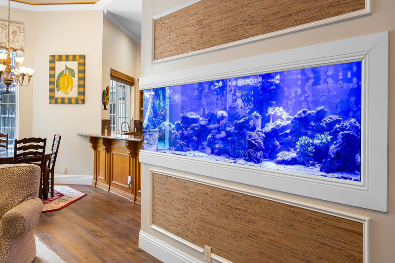 475 Gallon Living Coral Reef