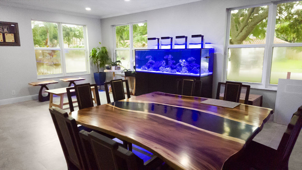 210 Gallon Red Sea 1000 Dining Room Reef