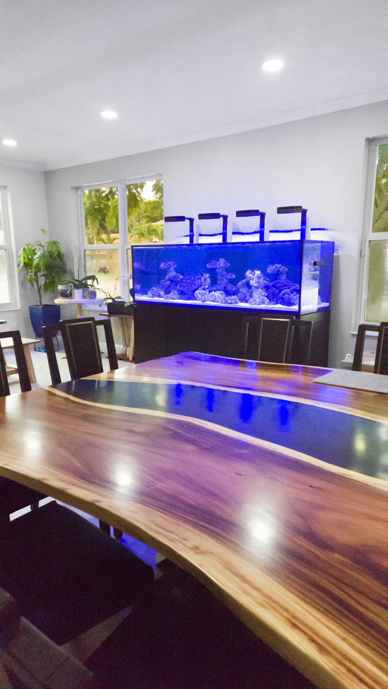 210 Gallon Red Sea 1000 Dining Room Reef