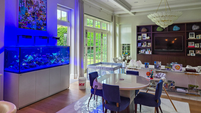 180 Gallon Red Sea 850 Centerpiece